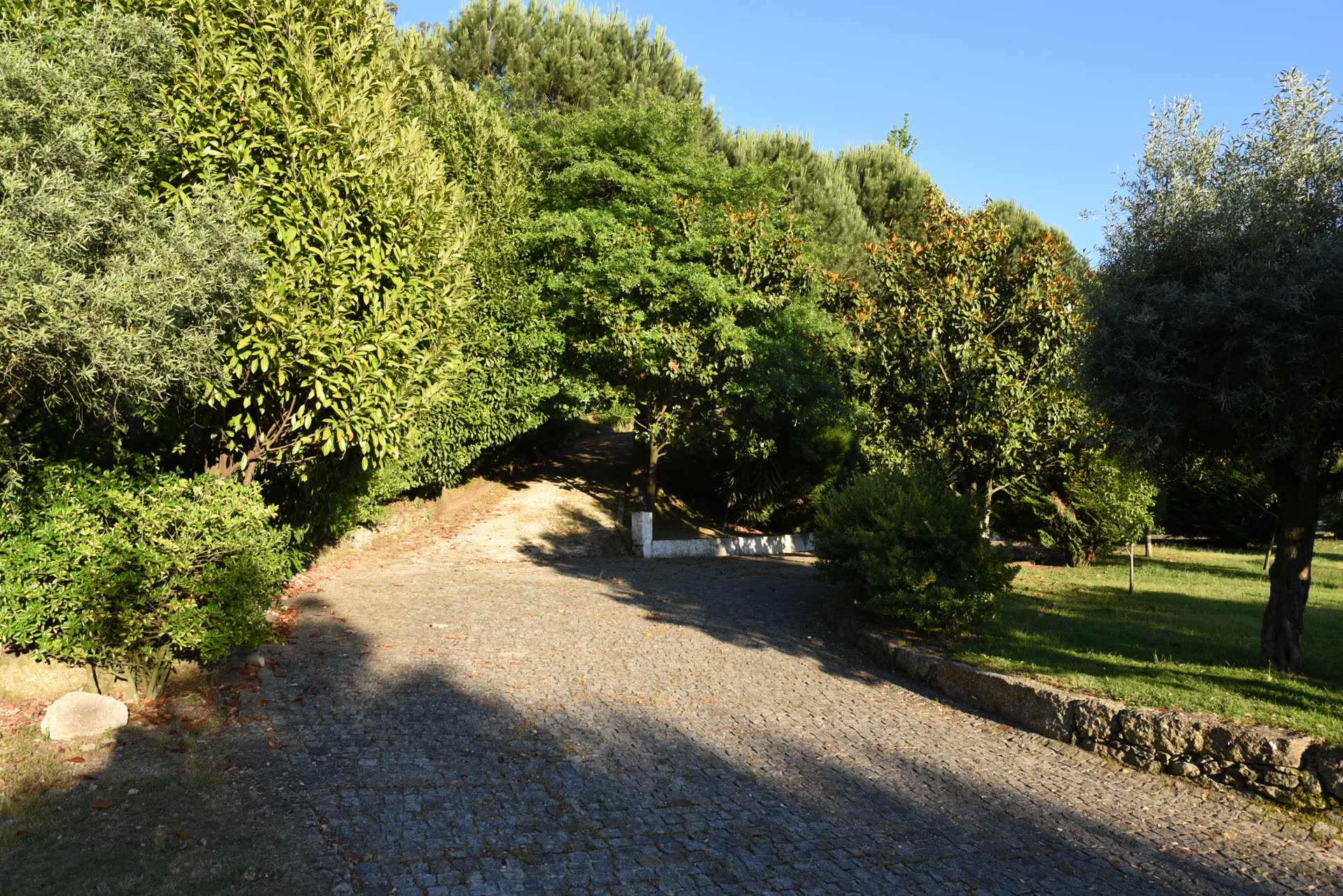 Caminho no jardim da quinta